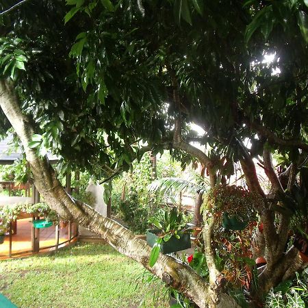 Les Agapanthes Villa Le Tampon Exterior foto