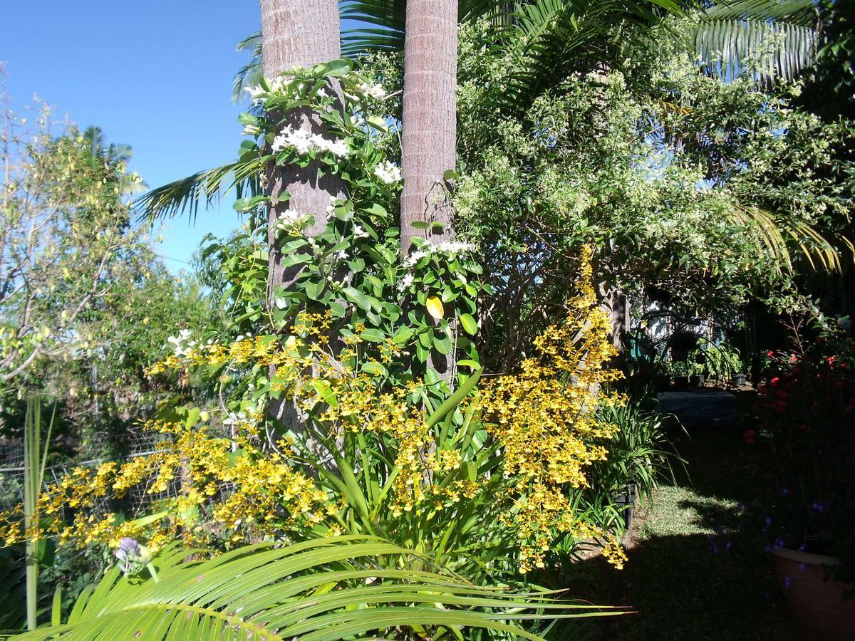 Les Agapanthes Villa Le Tampon Exterior foto