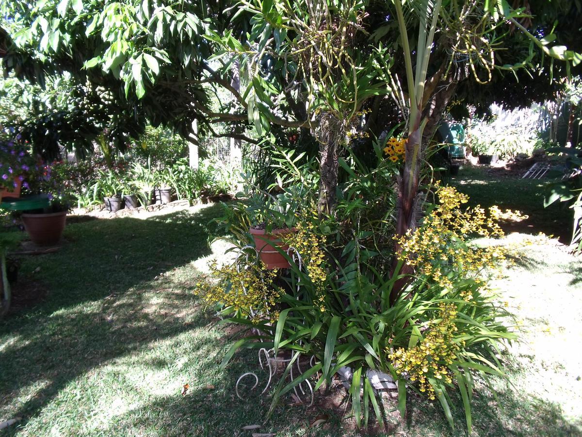 Les Agapanthes Villa Le Tampon Exterior foto