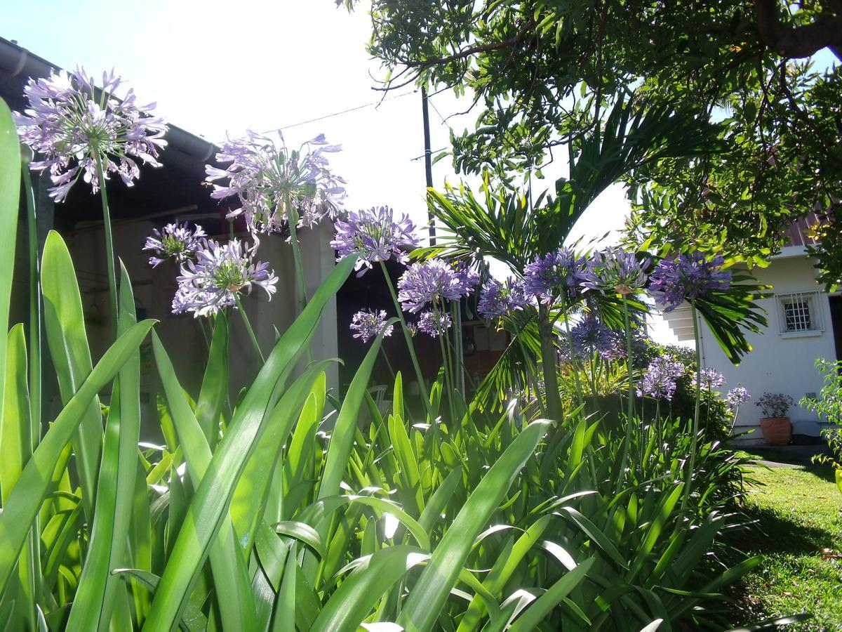 Les Agapanthes Villa Le Tampon Exterior foto