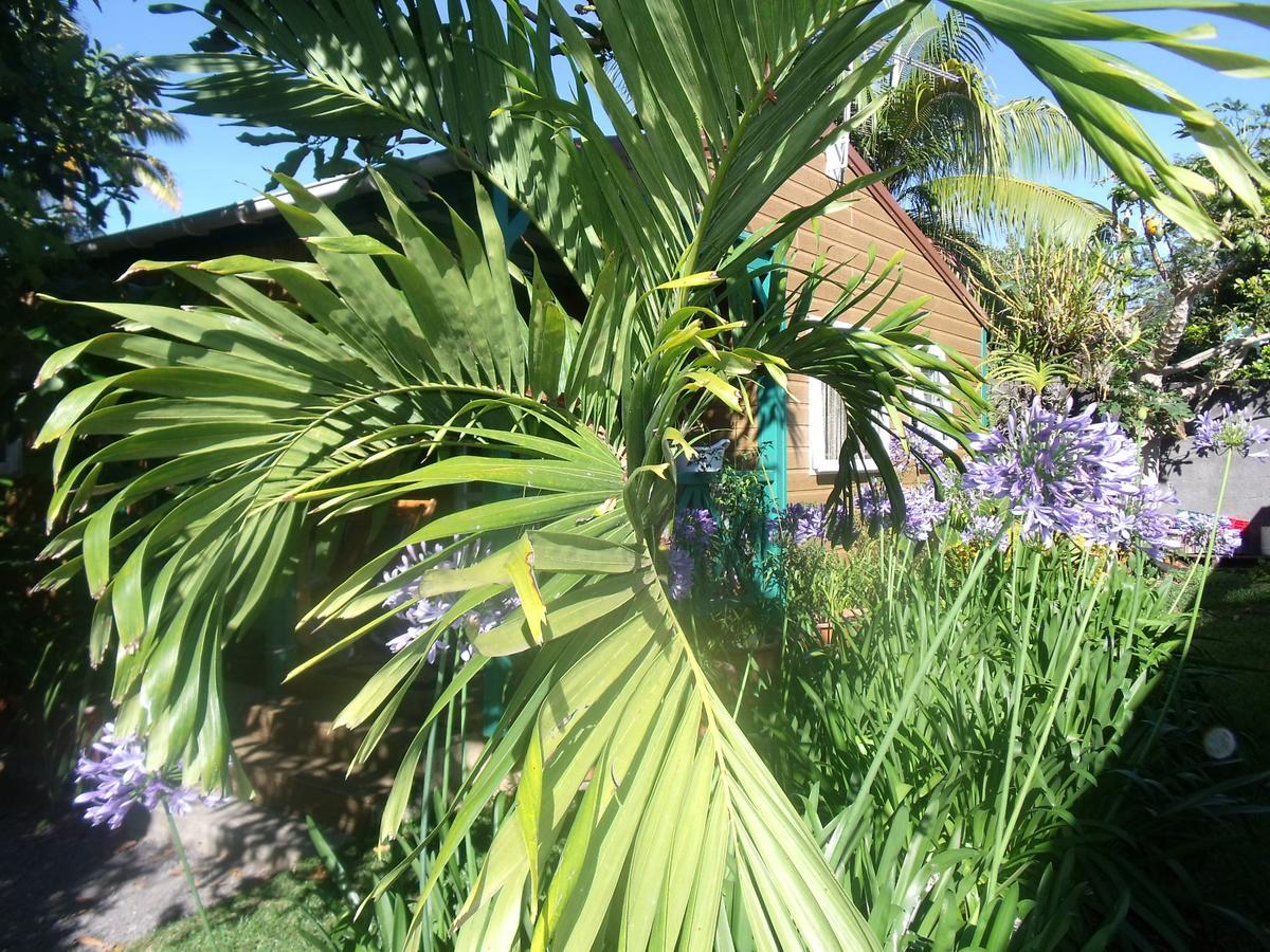 Les Agapanthes Villa Le Tampon Exterior foto