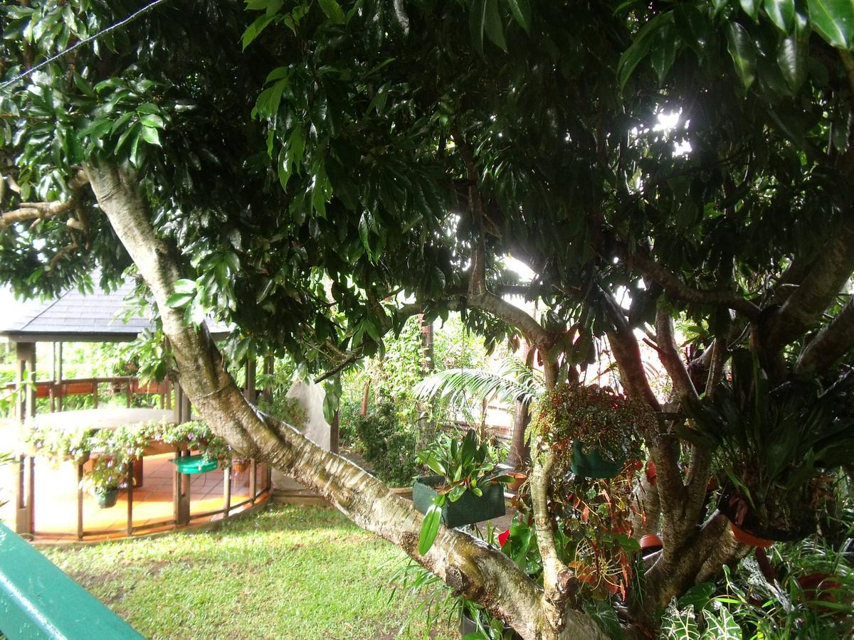 Les Agapanthes Villa Le Tampon Exterior foto